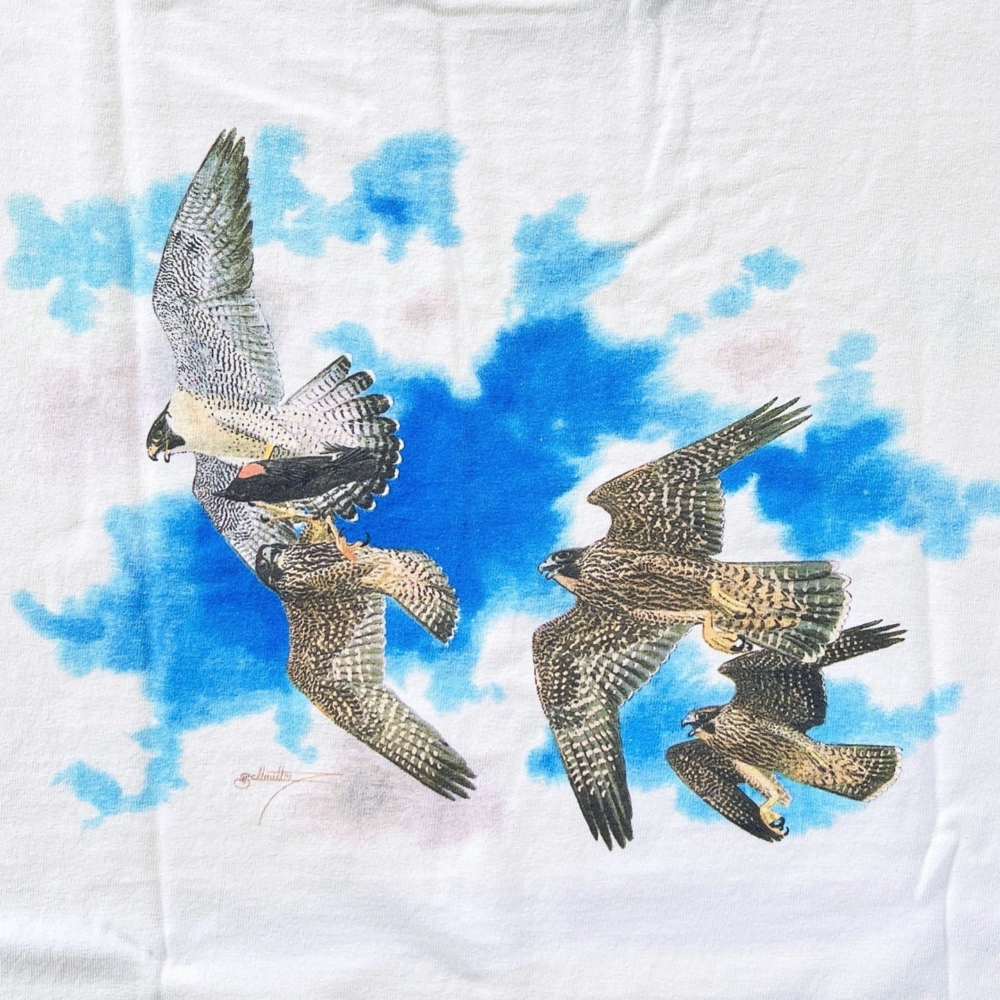 1999 Patagonia North American Peregrine Falcon Victory Celebration T-Shirt (L)