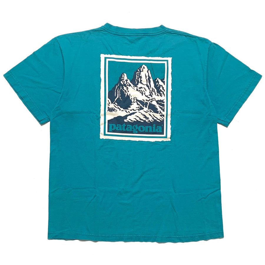1990s Patagonia Organic Cotton T-Shirt, Fitz Roy Print (M)