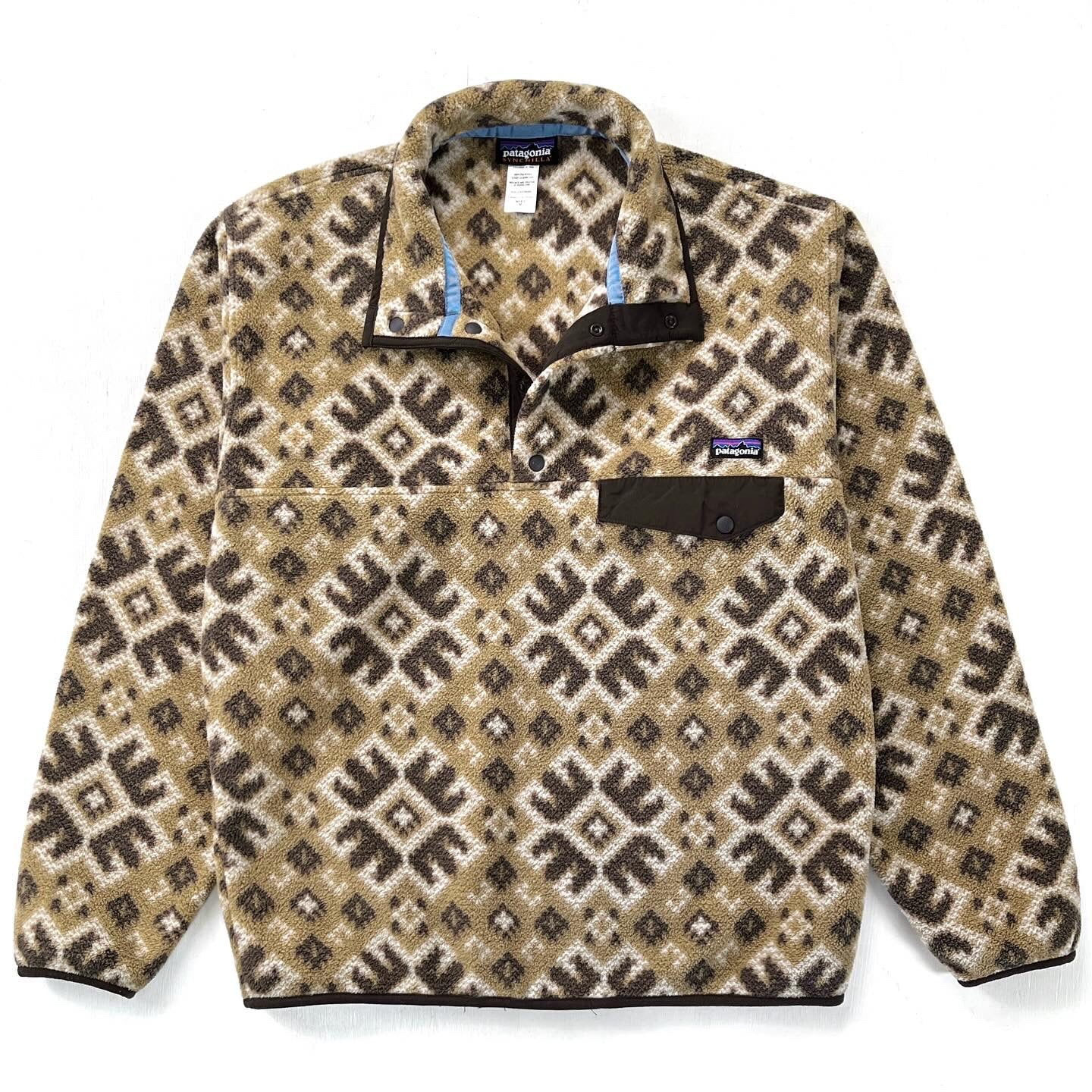 Patagonia printed sale pullover