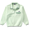 2005 Patagonia Synchilla Snap-T Pullover, Liquid Green (M/L)