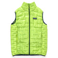 2019 Patagonia Mens Micro Puff Insulated Vest, Peppergrass Green (S)