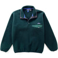 1995 Patagonia Synchilla Snap-T Pullover, Hunter & Condor (S)