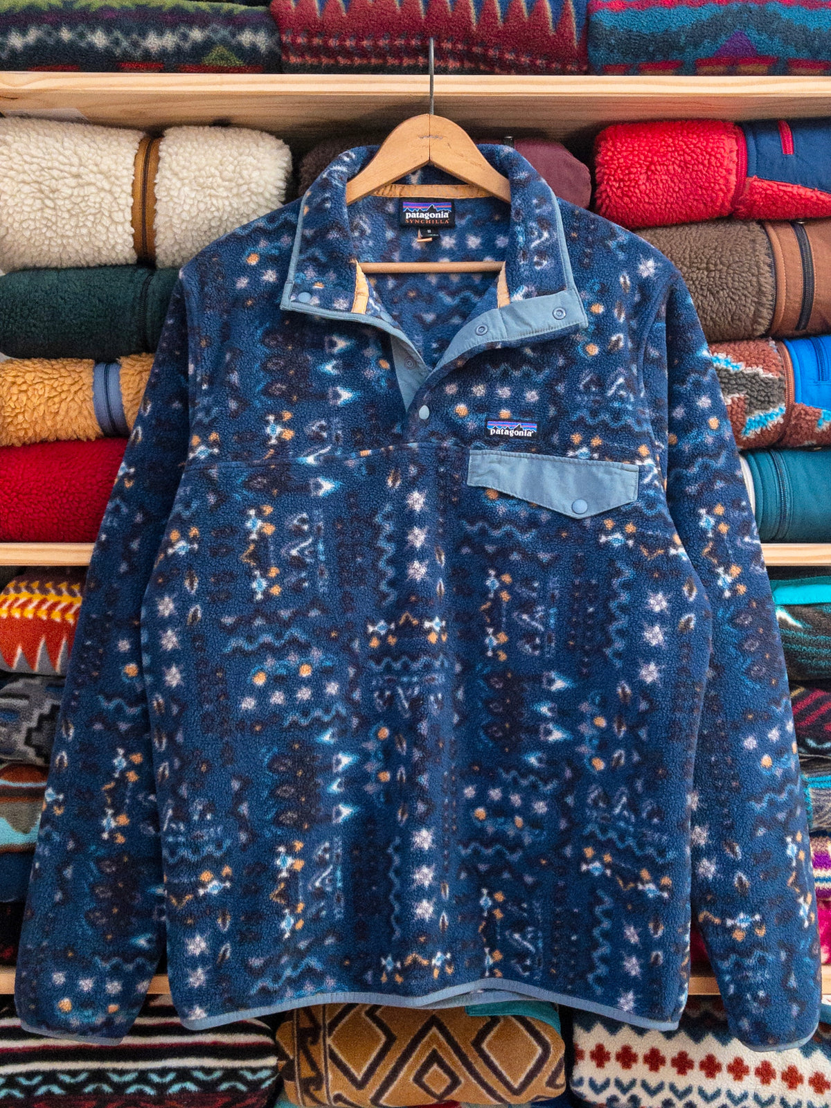 2022 Patagonia Printed Synchilla Snap-T, Wandering Woods: Tidepool Blue (M)