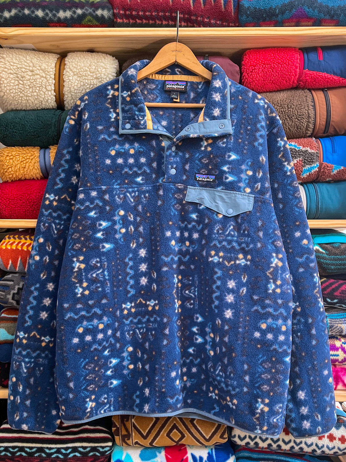 2022 Patagonia Printed Synchilla Snap-T, Wandering Woods: Tidepool Blue (L)