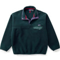 1994 Patagonia Synchilla Snap-T Pullover, Hunter & Condor (L)