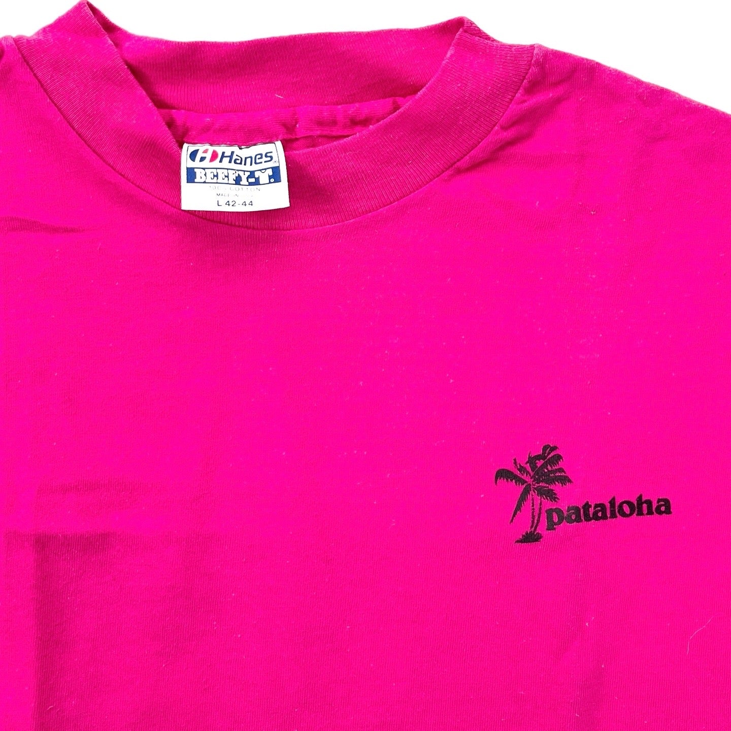 80s パタゴニア ヘインズ beefy Tシャツ USA製 パタロハ ハワイ