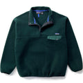 1998 Patagonia Synchilla Snap-T Pullover, Hunter & Condor (L)