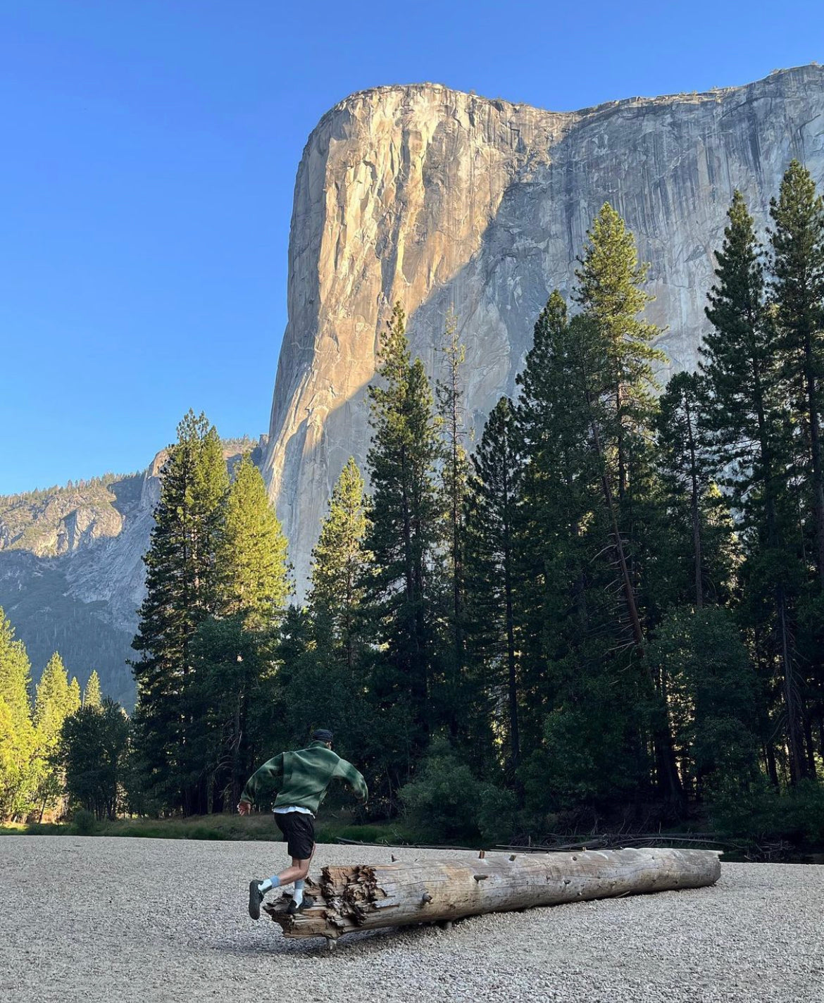 1996 Patagonia Mens 4” Printed River Shorts, Spiney: Blueberry (XL)