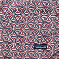1996 Patagonia Mens 5” Printed Baggies Shorts, Lotus: Night Sky (L)