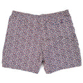 1996 Patagonia Mens 5” Printed Baggies Shorts, Lotus: Night Sky (L)