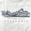 1990s Patagonia Organic Cotton T-Shirt, Fitz Roy Skyline Print (M)