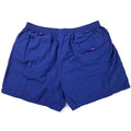 2001 Patagonia Mens 3.5” Baggies Shorts, Blueberry (L)