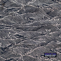 Spring/Summer 2008 Patagonia 5” Printed Baggies Shorts, Fish Print (L)