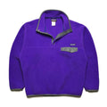 FA10 Patagonia Synchilla Snap-T, Purple/Grey (M/L)