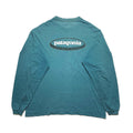 1990s Patagonia Organic Cotton L/S Oval Logo T-Shirt, Teal (M)